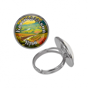 C0507015 Кольцо металлическое, цвет серебро, Краснодарский край