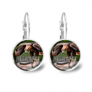 C0803038 Серьги металлические, Пятигорск