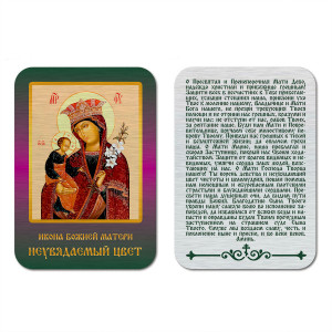 IKO-001-046 Икона БМ Неувядаемый цвет
