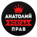 KM1246 Коврик для мыши именной Анатолий Всегда прав, d.20см