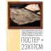 POSG-0023 Постер в рамке 23x17см Магические артефакты