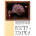 POSG-0035 Постер в рамке 23x17см Таро в руке