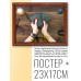 POSG-0046 Постер в рамке 23x17см Колода