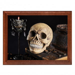 POSG-0086 Постер в рамке 23x17см Череп на книге