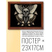 POSG-0217 Постер в рамке 23x17см Мотылёк мёртвая голова