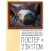 POSG-0278 Постер в рамке 23x17см Орёл