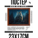POSG-0295 Постер в рамке 23x17см Сова