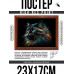 POSG-0299 Постер в рамке 23x17см Кот