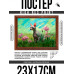 POSG-0306 Постер в рамке 23x17см Кот сфинкс на лугу