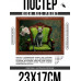 POSG-0307 Постер в рамке 23x17см Кот сфинкс на кресле