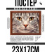 POSG-0308 Постер в рамке 23x17см Кот портрет