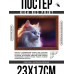 POSG-0316 Постер в рамке 23x17см Белая кошка