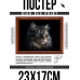 POSG-0319 Постер в рамке 23x17см Кот