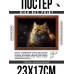 POSG-0326 Постер в рамке 23x17см Рыжий кот
