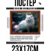 POSG-0341 Постер в рамке 23x17см Белый кот