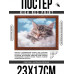 POSG-0342 Постер в рамке 23x17см Спящий котёнок
