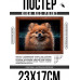 POSG-0350 Постер в рамке 23x17см Шпиц