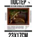 POSG-0351 Постер в рамке 23x17см Капибары